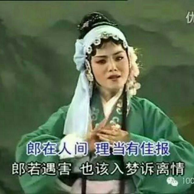 潮剧选段 金花牧羊