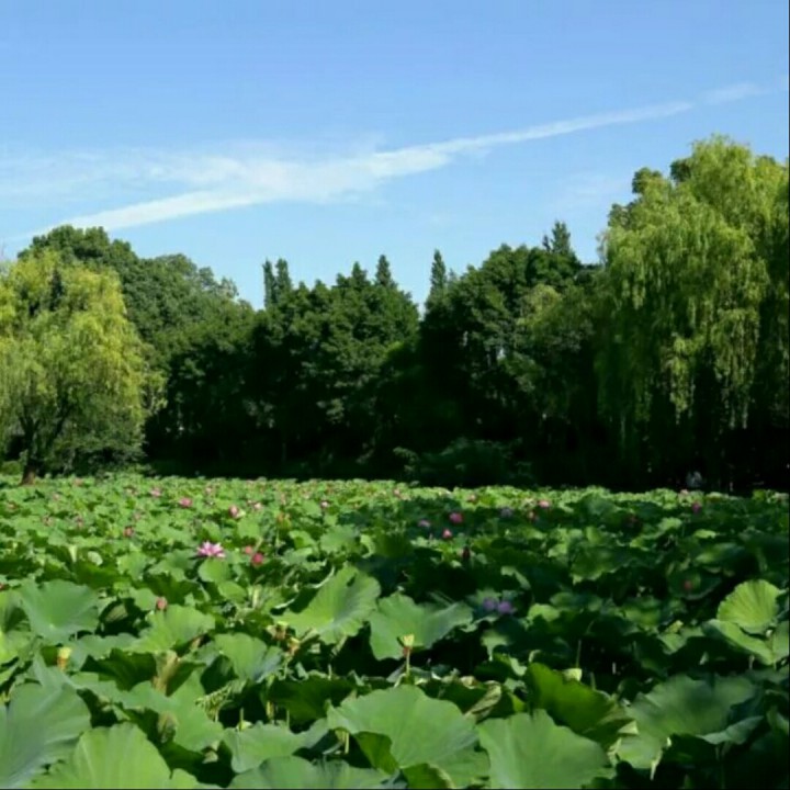 当爱情离开的时候【快乐时光】