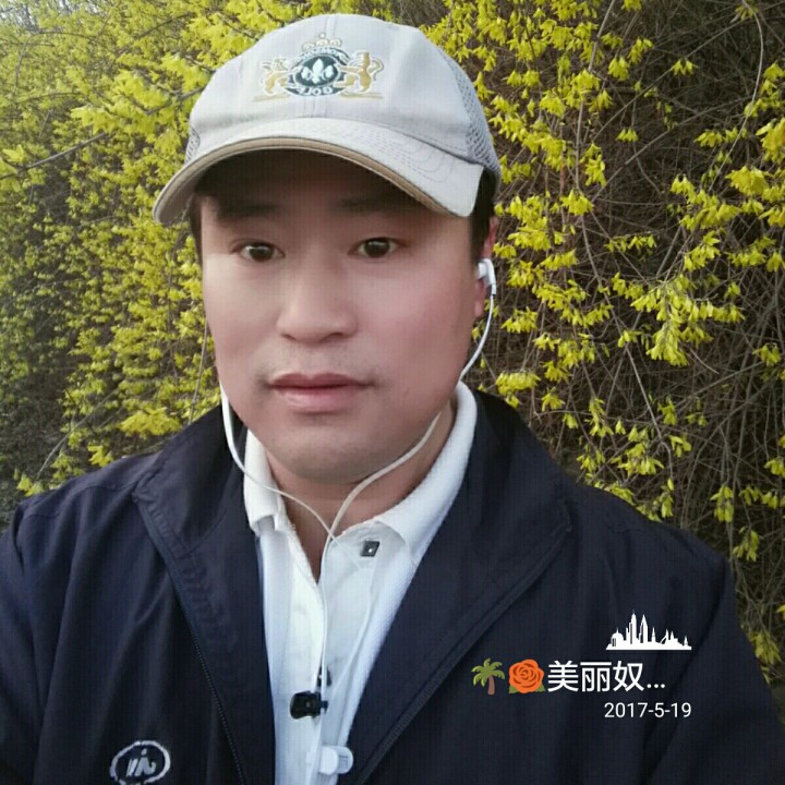 梨花颂-李胜素(降)