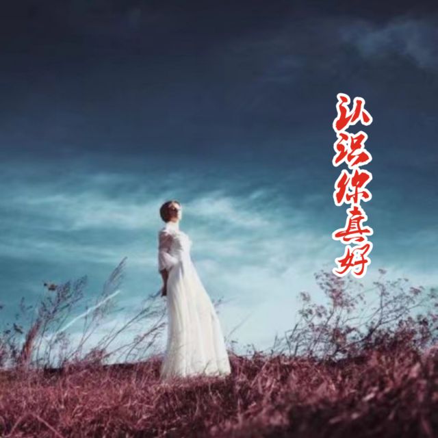 认识你真好【心如绿茶专属】