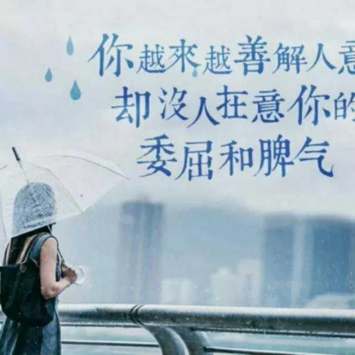宁愿一个人偷偷流泪下一句是什么 宁愿一个人流泪