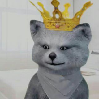 老婆最大老公第二 - 自由飞翔@胜子 - 唱吧,听见