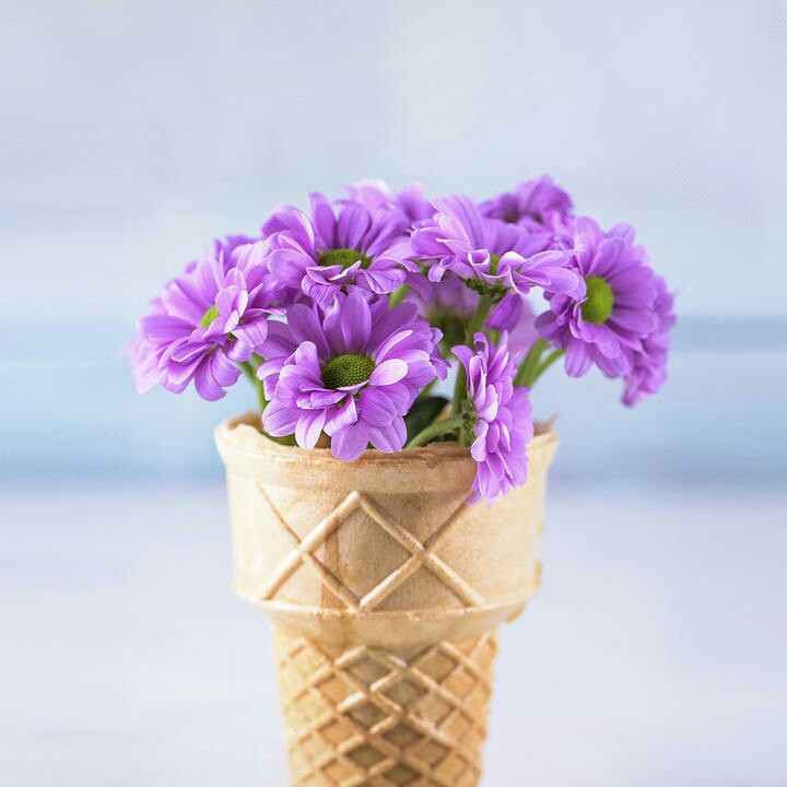 评剧 花为媒 报花名【【新版】】