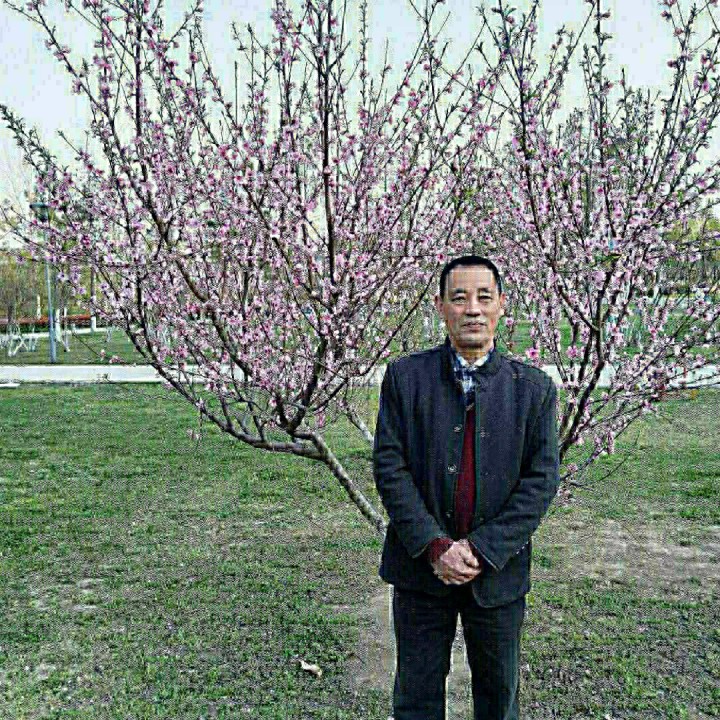 想你的时候问月亮葫芦丝f调动态曲谱