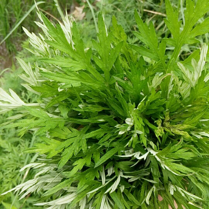 要我怎么忘了她