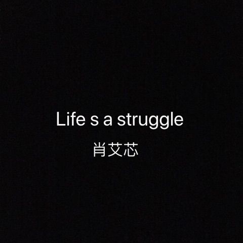 life s a struggle【自制 请修改昵称kgwqm3o