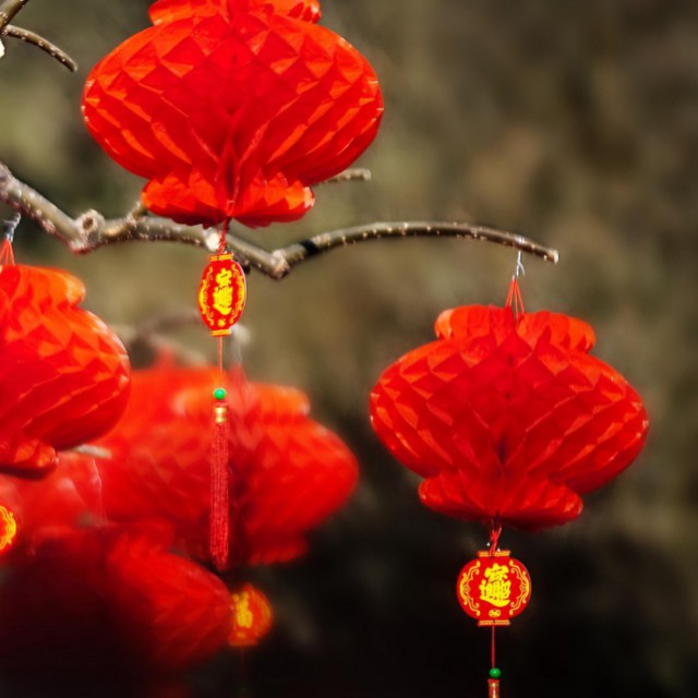 满天的花满天的云