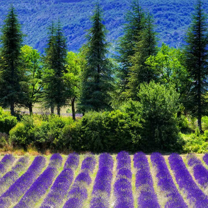 一百万个可能【dj版】