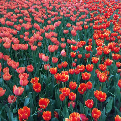 喝醉以后才明白 DJ【唱吧华仔DJ版伴奏】