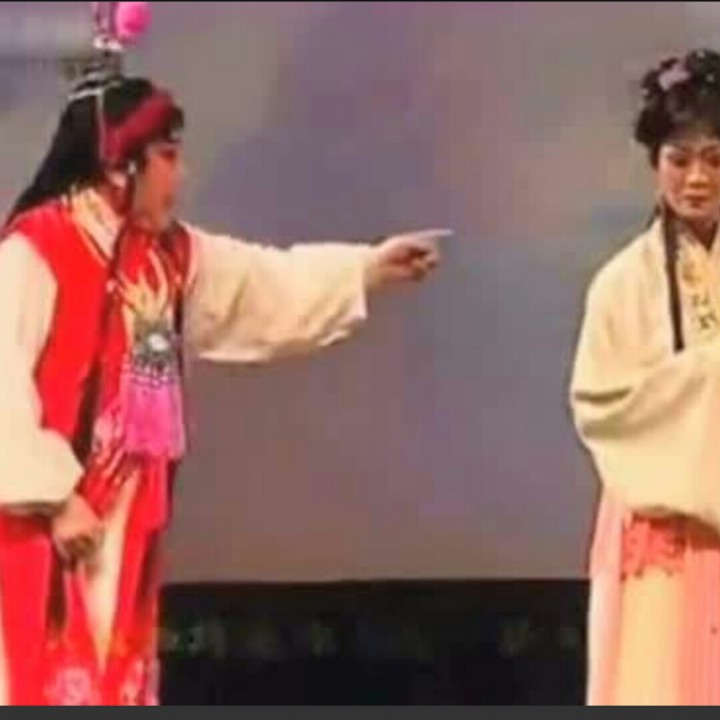 豫剧红楼梦想当初妹妹你初到我家来【降e伴奏】