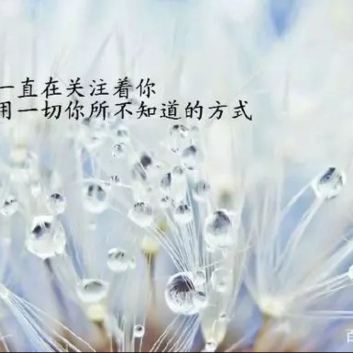 今生最爱