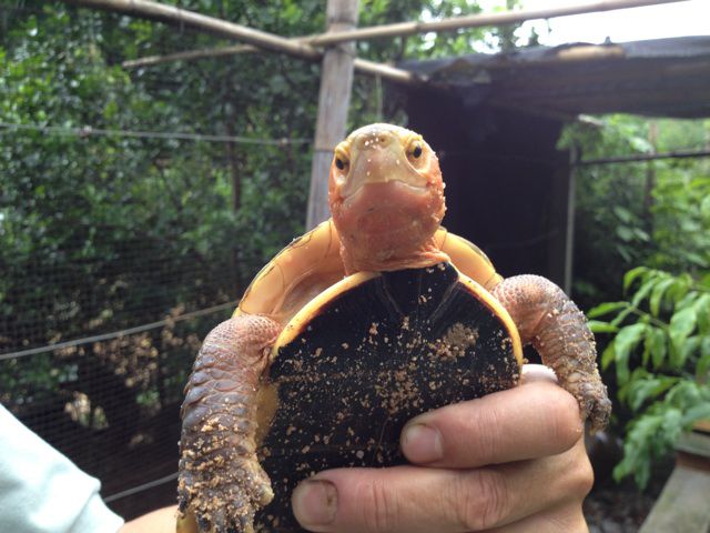 假如真的再有约会 - 小肥一家 唱吧,最时尚的手
