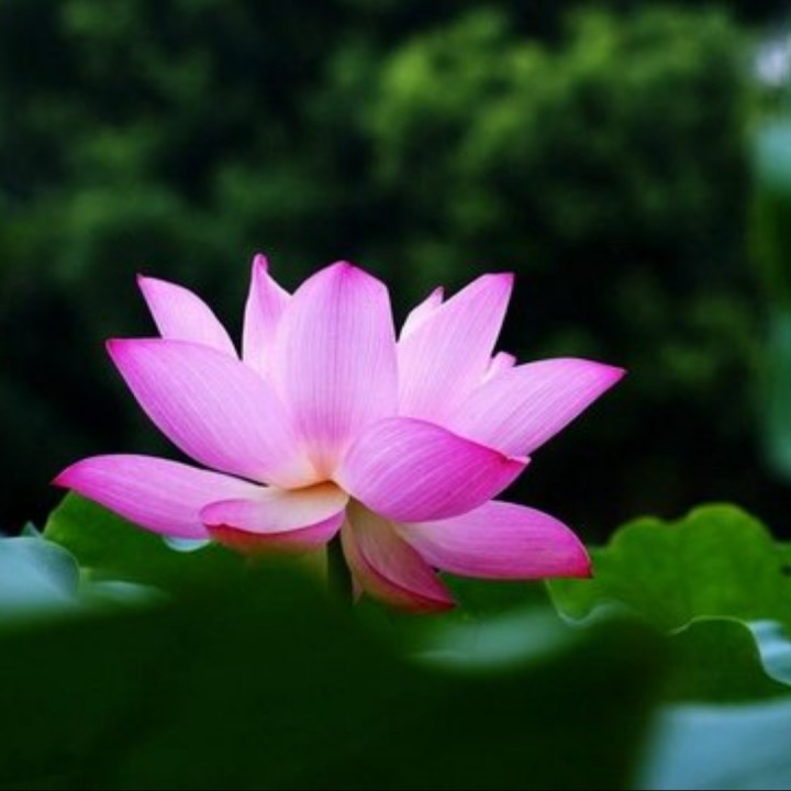 我的世界你曾经来过