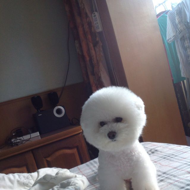 小蛮腰伴奏 - KacarChen 唱吧,最时尚的手机KT