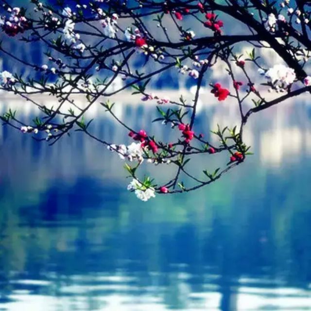 评剧 梁祝 十八相送 对唱