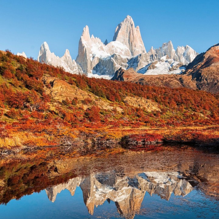 特别的爱给特别的你【DJ伴奏】