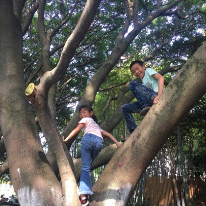 三德歌【谭晶】