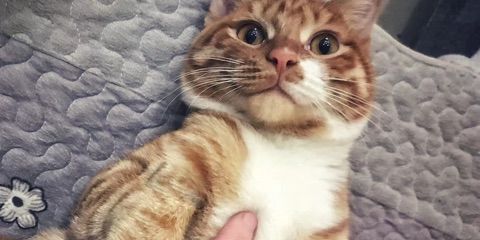 唱吧 - 我心永恒【我心永恒F调伴奏 TGH】