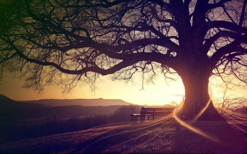 死性不改 - 可可小姐_Jennifer 唱吧,最时尚的手