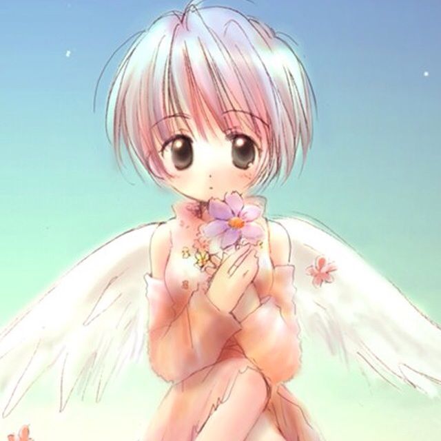 小小新娘花