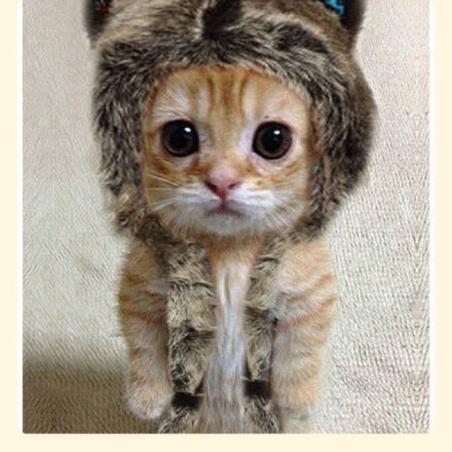 平凡之路 - 三拍子狂魔 唱吧,最时尚的手机KTV