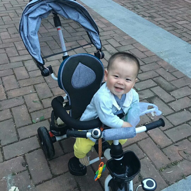 几分伤心几分痴【原版琳琳】