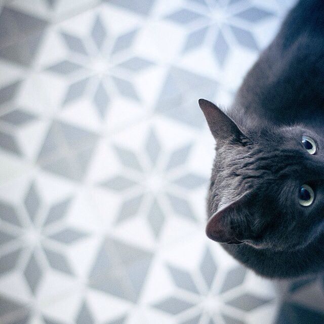 亲爱的那并不是爱情_亲爱的那并不是爱_但亲