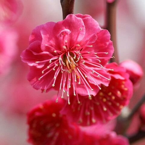 不得杨幂歌词_有点舍不得_有点舍不得歌词 - 魔