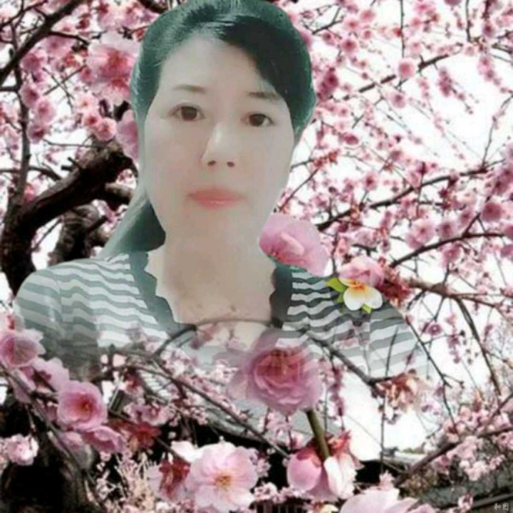 陆岛相思曲【阅兵制作】