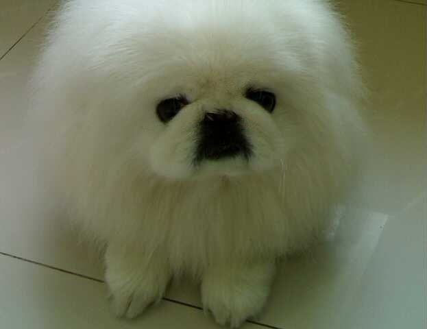 静静听(伴奏)_冉冉(网络歌手) - 静水流香 静听雨