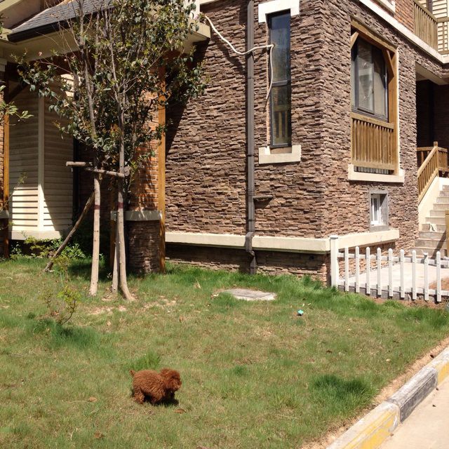 海阔天空 伴奏(幼稚园杀手+醉人+. - 鸢沐栖 唱吧