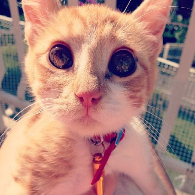 微笑以后 - 七格nnie -20383059 唱吧,最时尚的