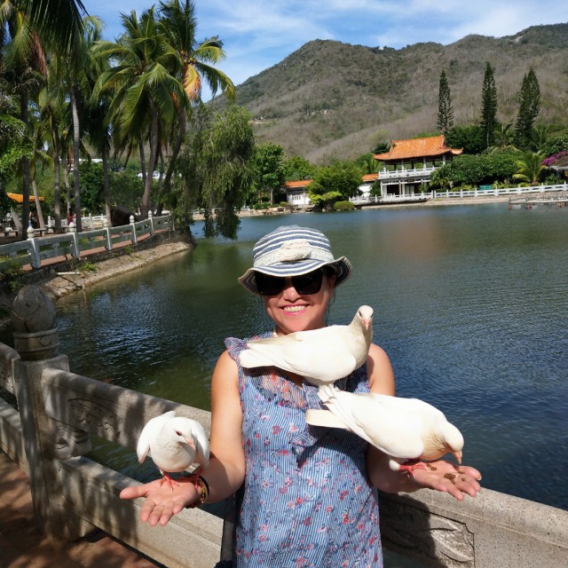 敖包再相会【黔王伴奏】