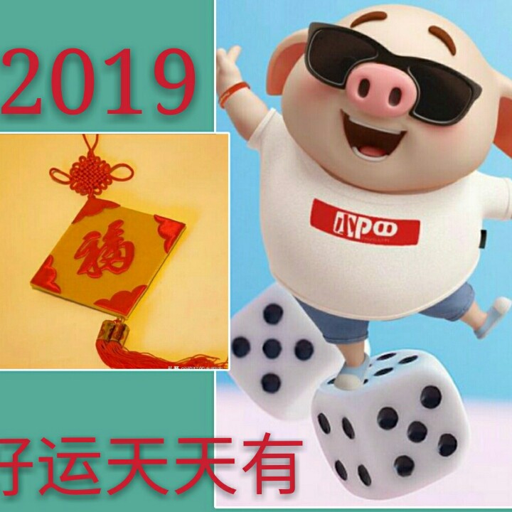 2019好运天天有