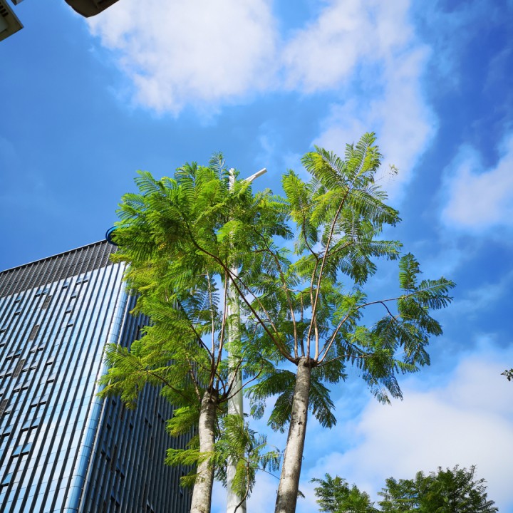 打水姑娘葫芦丝简谱