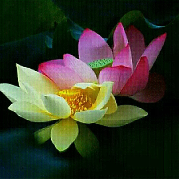 站着等你三千年【自在歌邀女声】