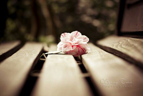 跟着你到天边【消音版】 - 琪钰花颜浅 唱吧,最