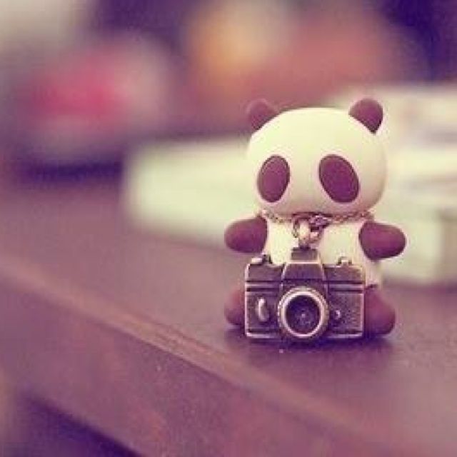 爱因为在心中 - Jickysoon 唱吧,最时尚的手机K