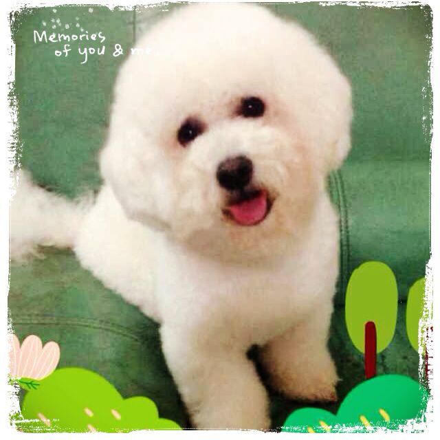 love come undone - 雯纸童鞋 唱吧,最时尚的手