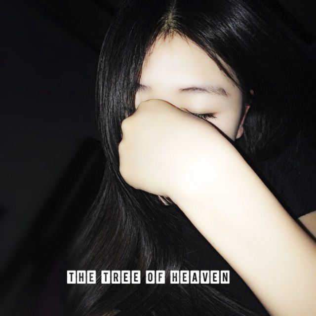<em>烟花易冷</em>【高清<em>女版</em>】 - 花无敌美少女战士 唱