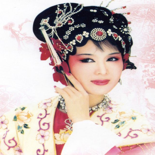 黄梅戏孟丽君诉冤 无语制作