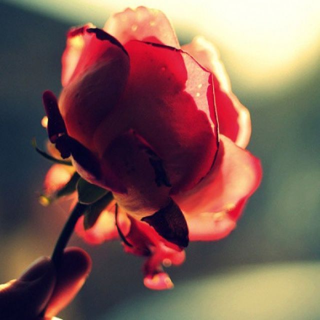 越难越爱【原版立体声伴奏】 - 飞过忘川的小班