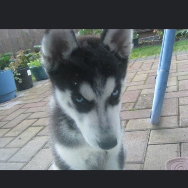 剑伤【完美歌词】 - 桃子-酱呼吸 唱吧,最时尚的