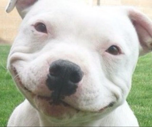 有没有和本宫不死你们终究是妃 寡人不死尔等