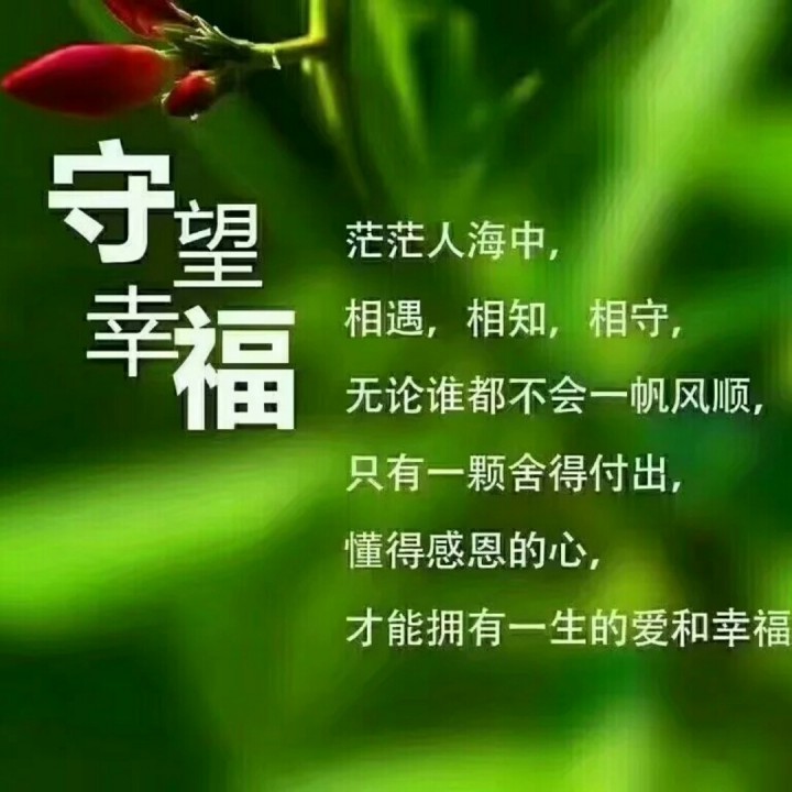 今生的唯一