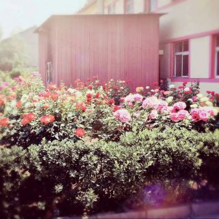 唱吧 - 飞蛾扑火(许嵩)【原伴唱】