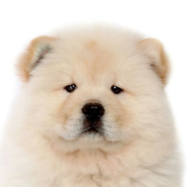 <em>我爱台妹</em> - 呵盒呵盒盒 唱吧,最时尚的手机<em>KTV</em>