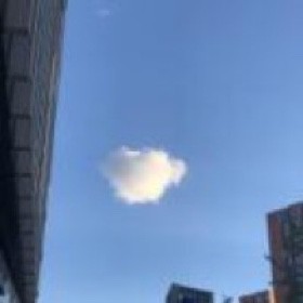 我恨我痴心英文版-壹碟制作【极品 歌词】 - 雁