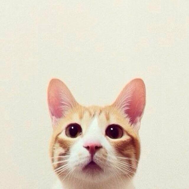 love come undone - 雯纸童鞋 唱吧,最时尚的手