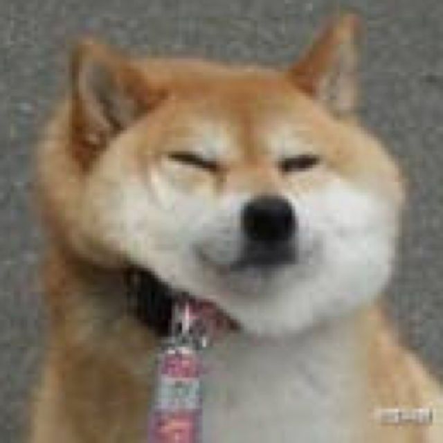 洛天依投食歌简谱分享_洛天依投食歌简谱图片